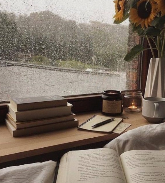 독서 초보자를 위한 책