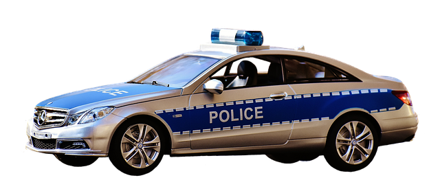 경찰 계급 체계