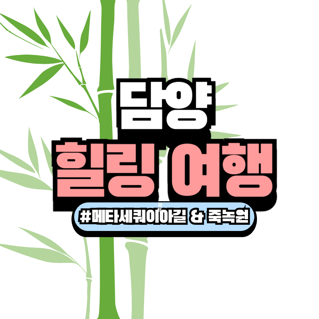 담양 메타세쿼이아길 & 죽녹원 힐링 여행코스 완벽 가이드