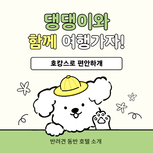 반려견과 함께 하는 호캉스 즐겁게 즐기는 법