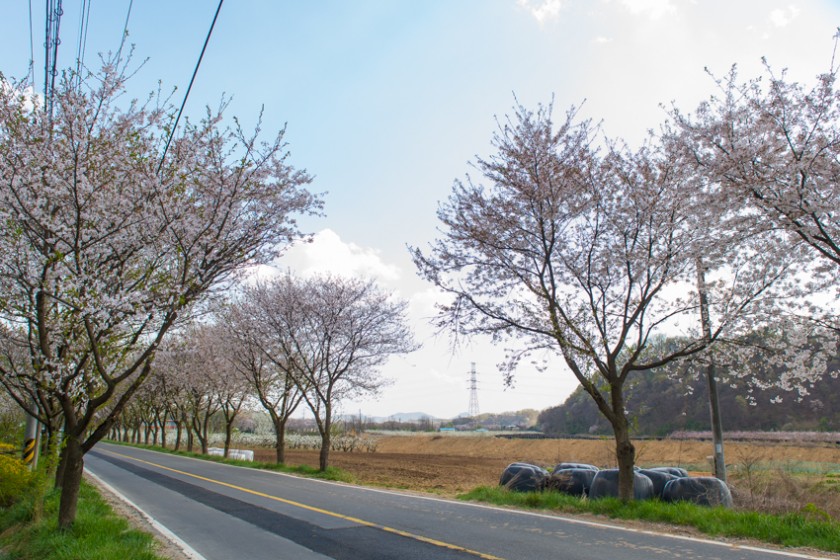 저수지로 가기 전 농가를 지나는 길