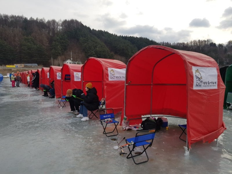 2025 평창 송어축제 예약