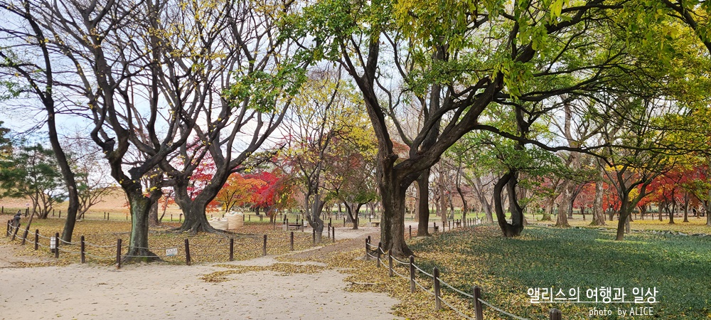 경주 한복입고 사진찍기 좋은 예쁜 장소 BEST 10 월성지구