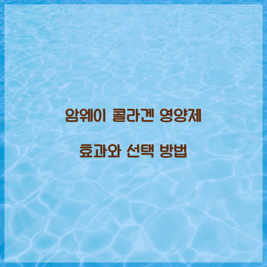 암웨이 콜라겐 영양제