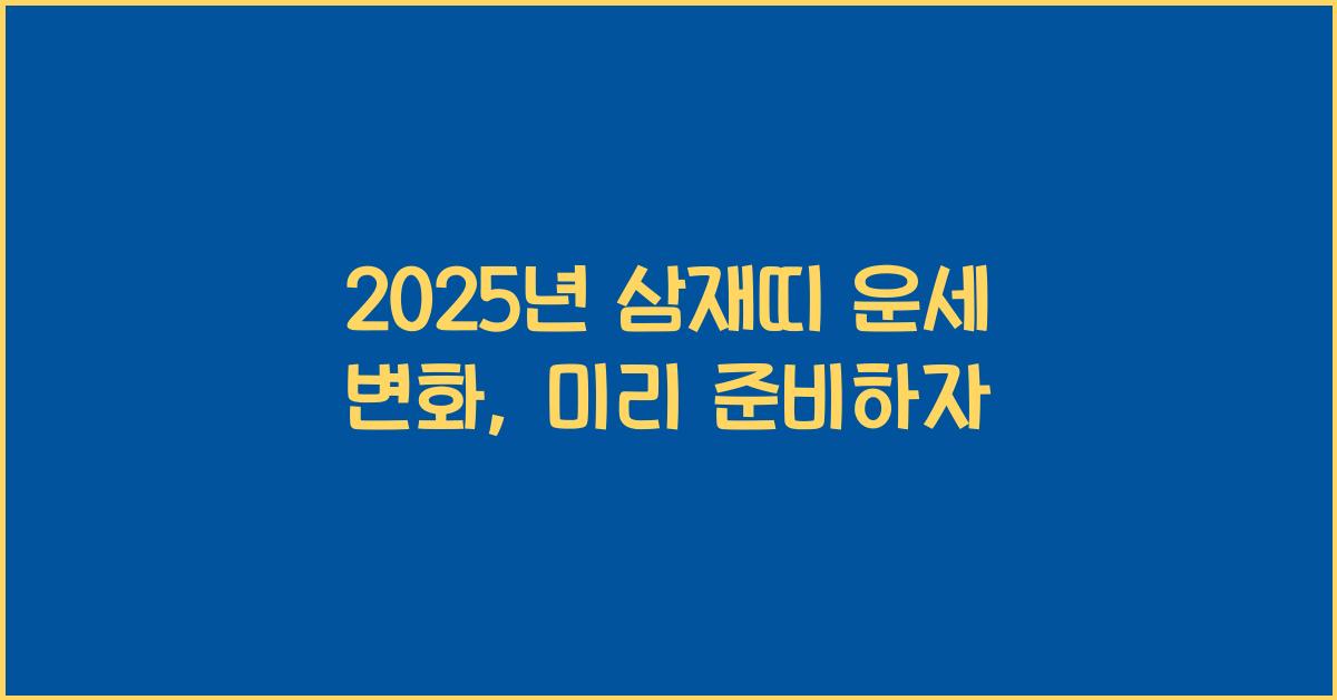 2025년 삼재띠
