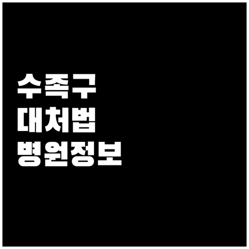 태백시 아이 수족구 증상 시 대처 방..