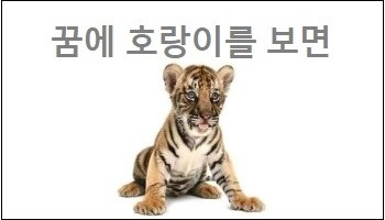 꿈에 호랑이를 보면