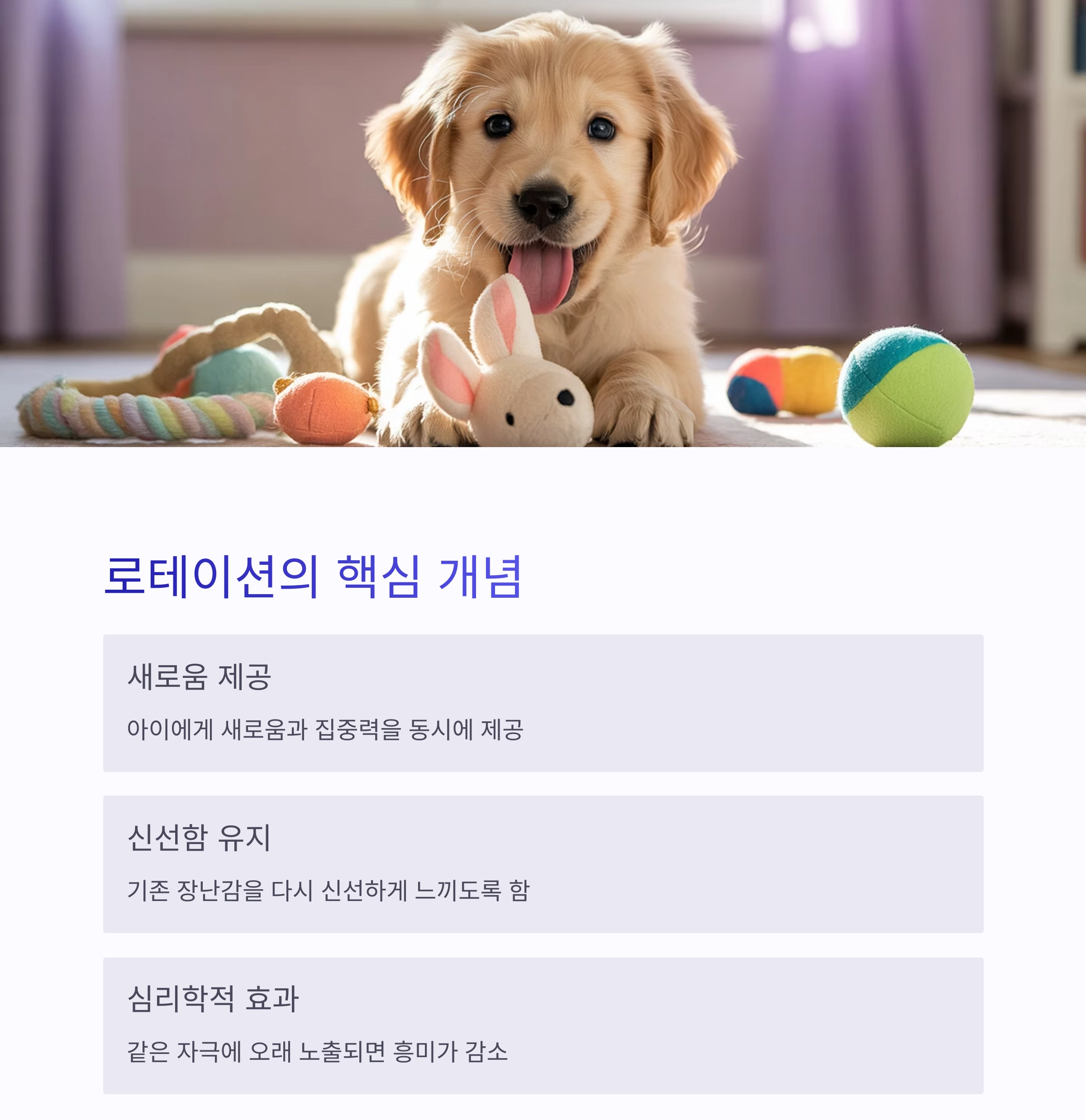 반려동물 장난감, 1주일 단위로 바꿔줘야 하는 이유