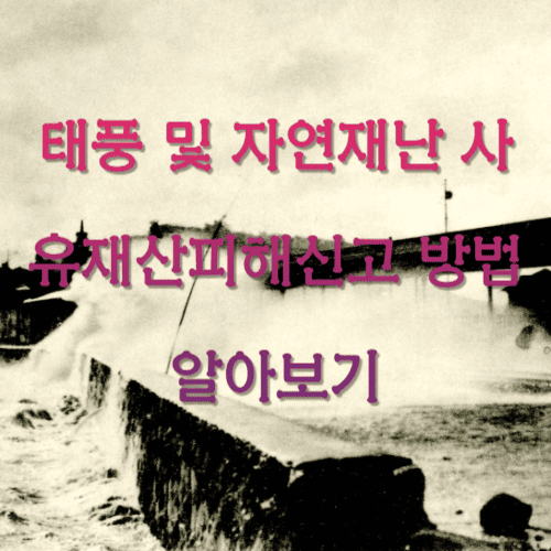 태풍 및 자연재난 사유재산피해신고 방법 알아보기