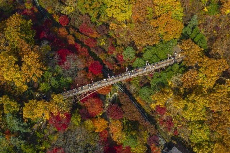 화담숲가을단풍축제2