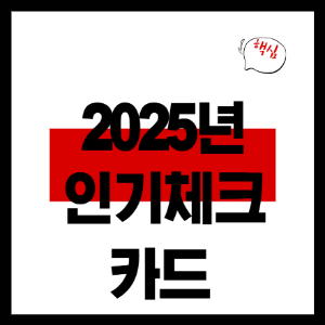 2025년 인기체크 카드
