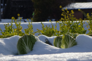 입춘 인사말 이미지 뜻 2025년 입춘시