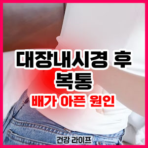 대장내시경 후 복통