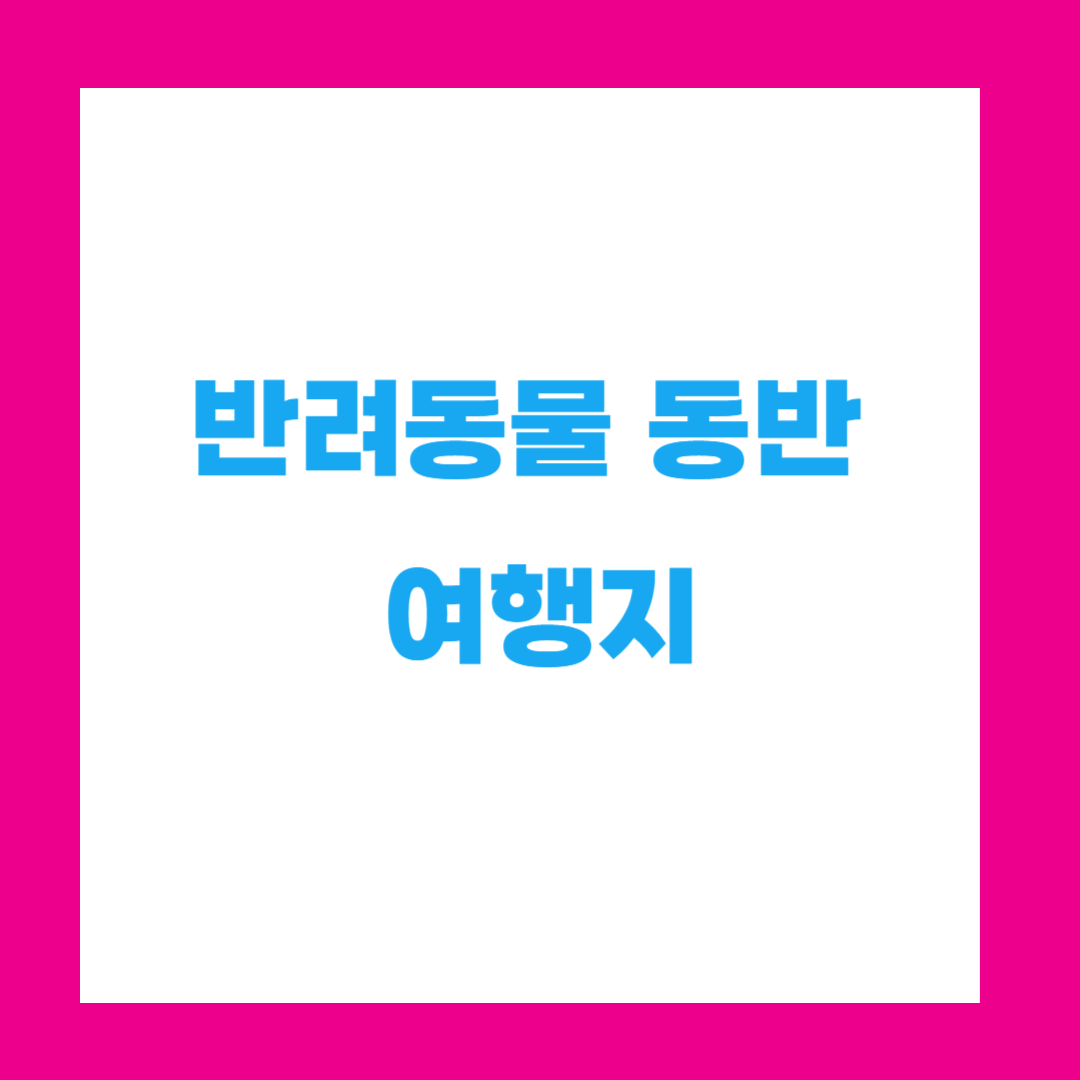 반려동물과 함께 떠나는 국내 여행지 추천 5선