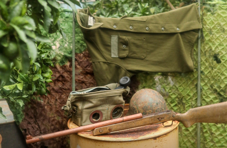 6시내고향 한라봉 제주 서귀포시 쇠소깍산물관광농원