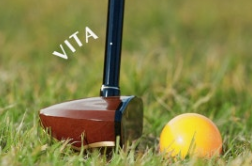 파크골프경기규칙-사진14