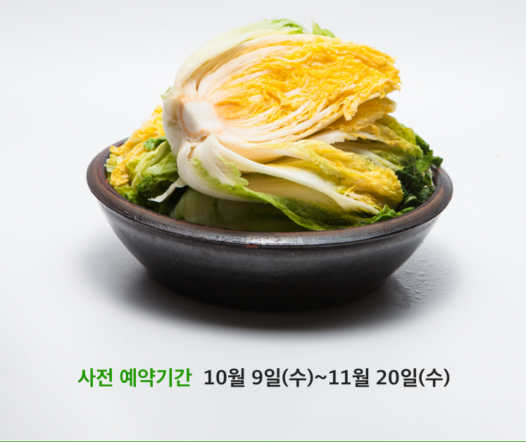 ํด๋จ ์ ์๋ฐฐ์ถ ์์ฝ