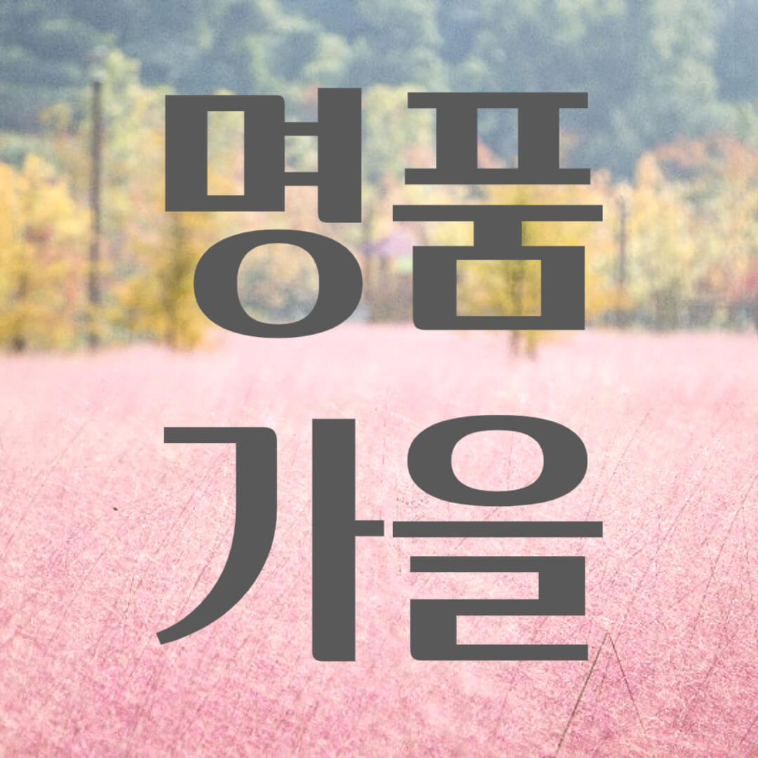 명품 가을
