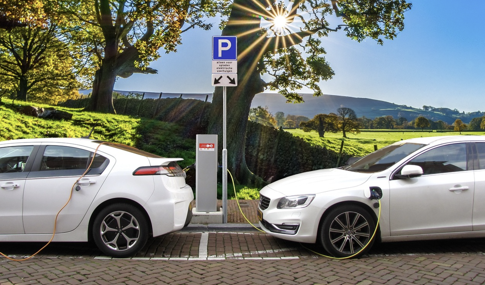 테슬라 주가 전망 월가, 테슬라 가치 2년 내 1조 달러 증가 예상