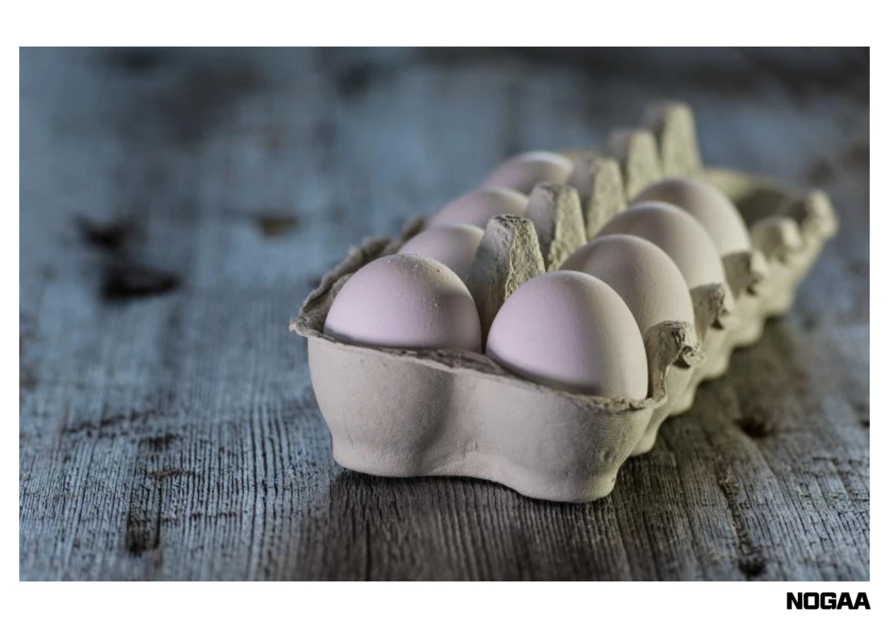 농식품바우처 카드