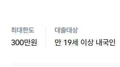 소액대출 100만원