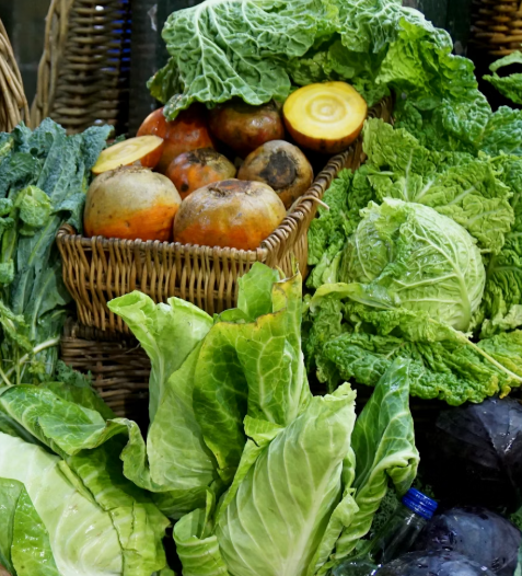 양배추 효능과 부작용 칼로리