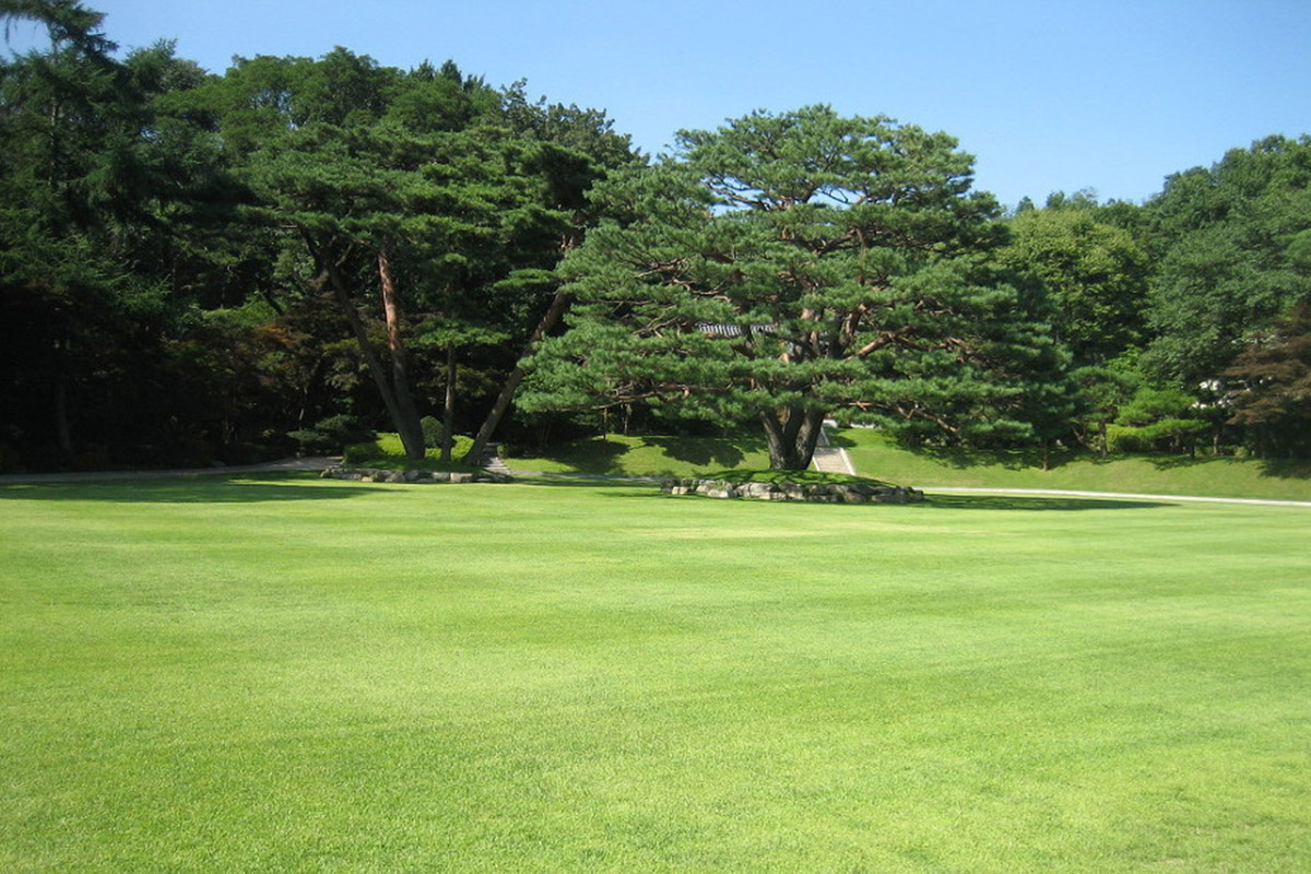 청와대 관람 예약 방법 안내