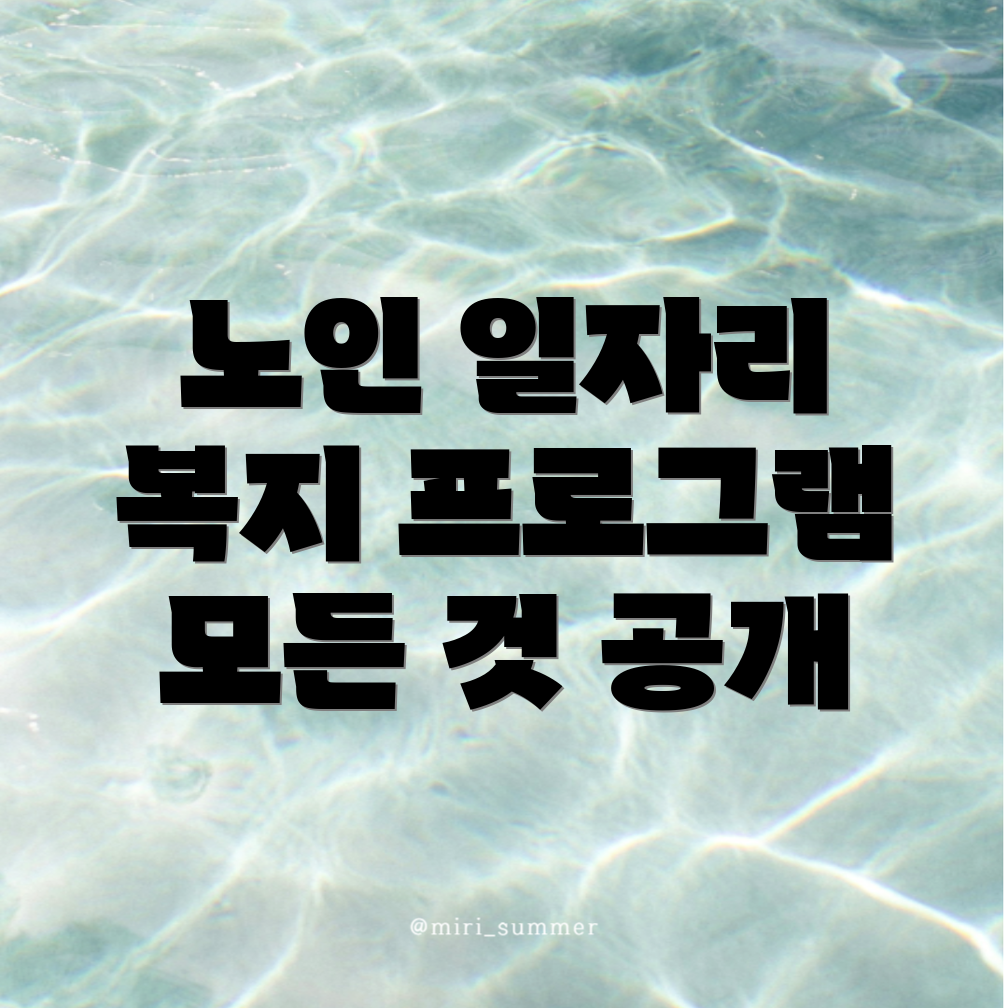 고양시 노인 일자리