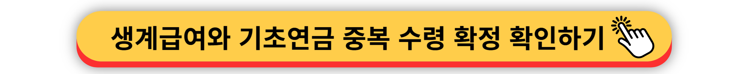 기초연금 - 40만원 인상