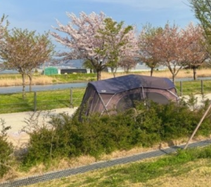 부산 차박하기 좋은 성지 TOP 5곳