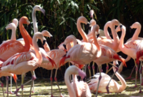 순천 가볼만한곳