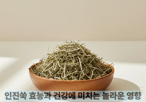 인진쑥 효능과 건강에 미치는 놀라운 영향