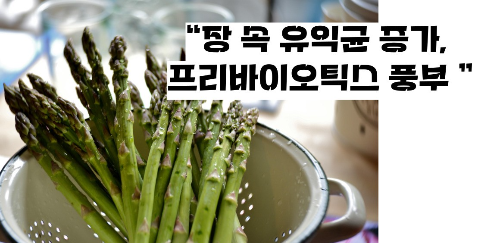 아스파라거스 효능