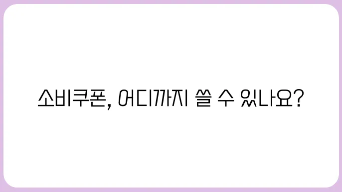 민생회복 소비쿠폰 사욦이 어디까지 가능한가요?