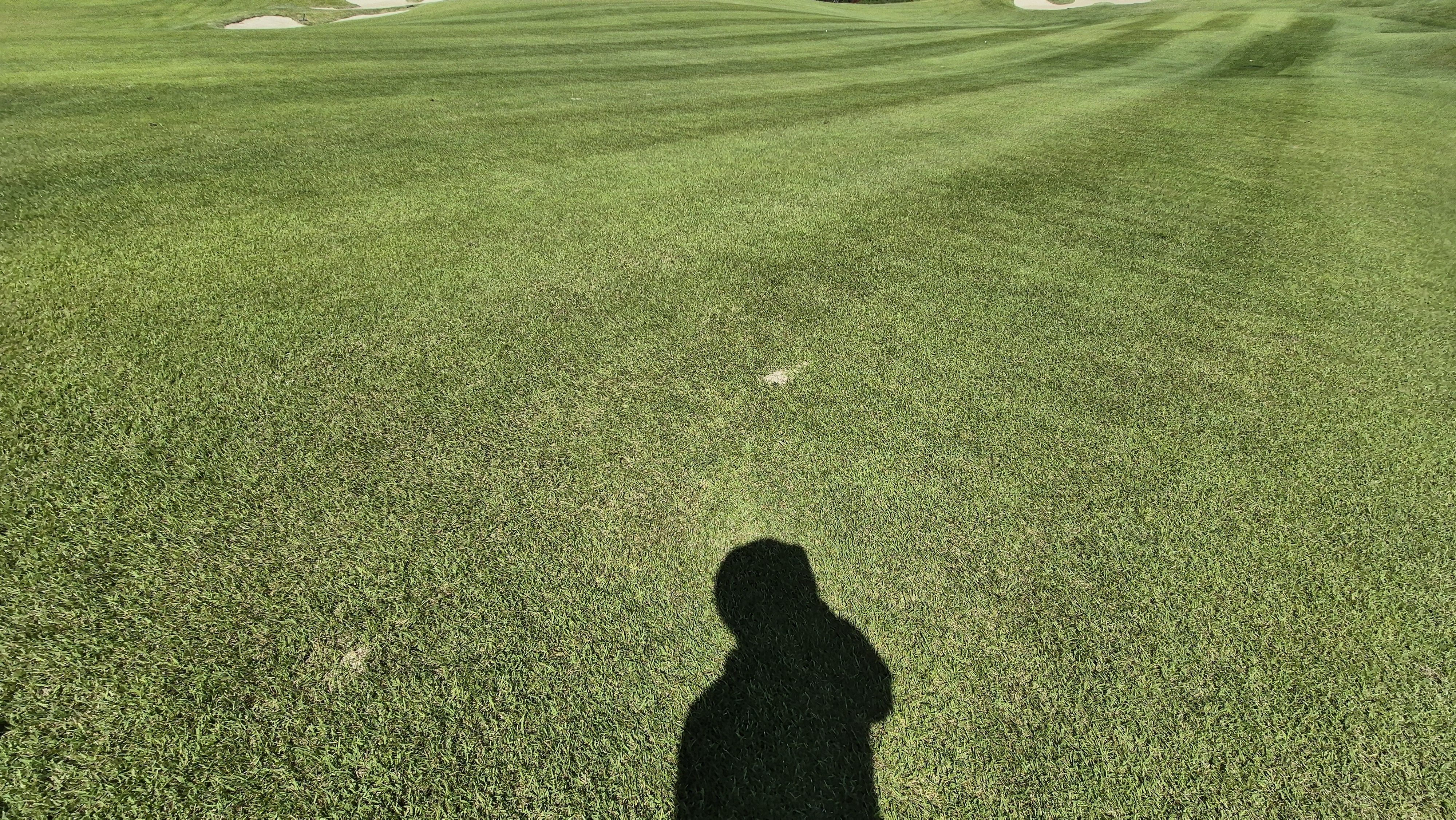 오로라cc 코스 관리 상태