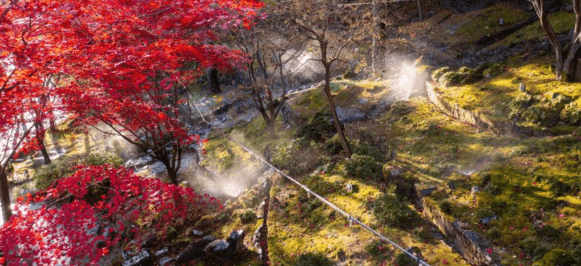 화담숲 - 취소표 잡는 노하우