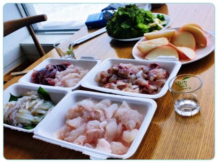양양-물치항-회센터