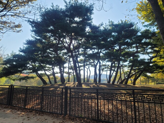멋진소나무