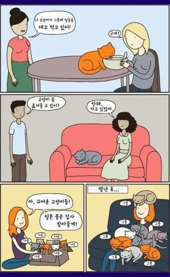 고양이가 집사를 사랑할때 하는 행동_11