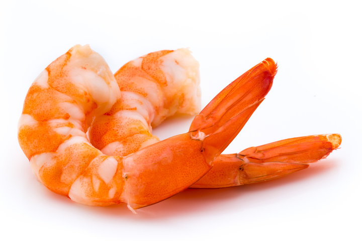 제철 대하 맛있는 시기&amp;#44; 대하 고르는 꿀팁 알아보기 