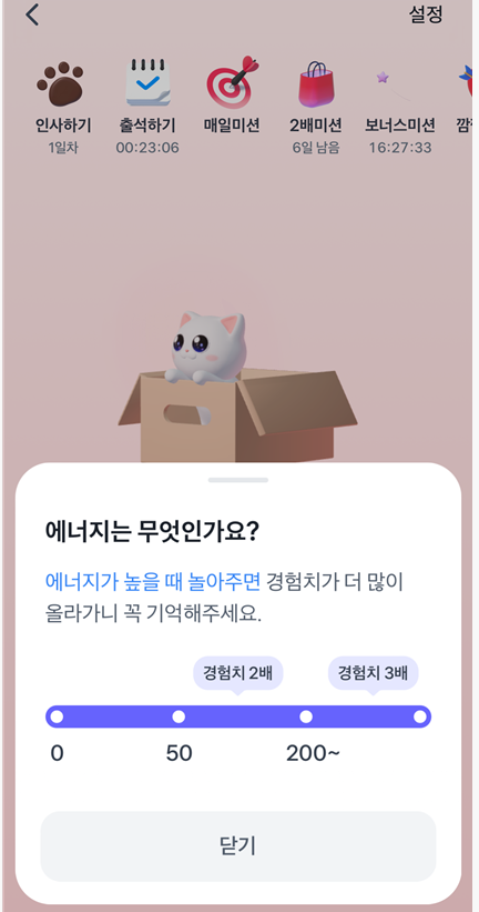 토스 고양이 키우기! 레벨 빠르게 올리는 방법 공유