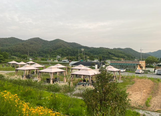 보은 vs 대전 생활비 체감 비교 &mdash; 지방 군 지역 vs 광역시, 실제 생활 기준 차이