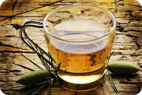 솔잎차의-효능