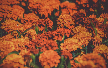 예금자 보호법 1억 시행시기 쉽게 정리 20