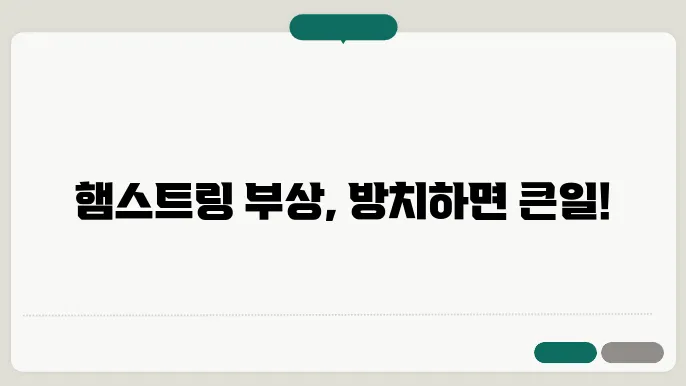 햄스트링 부상 증상