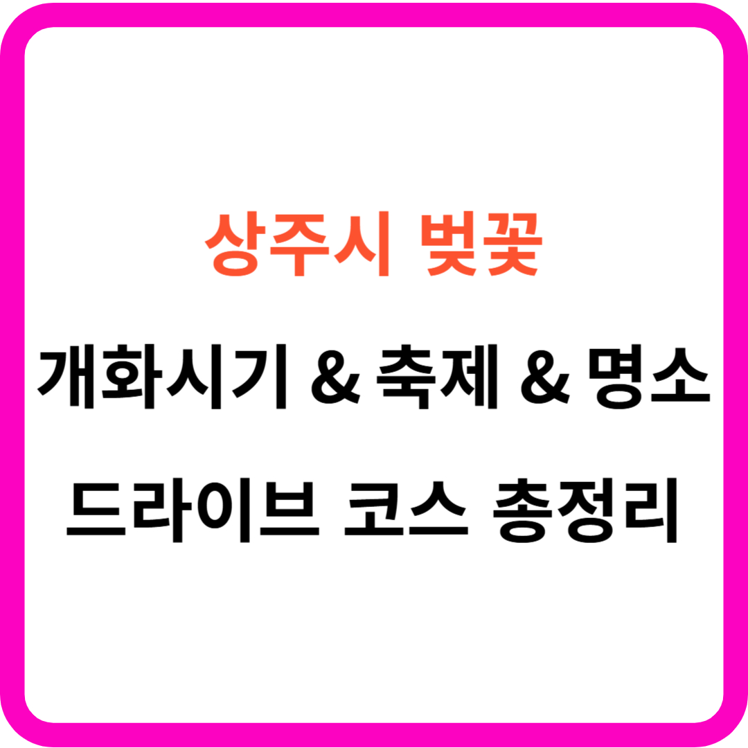 상주시 벚꽃 개화시기 명소 드라이브 코스 총정리