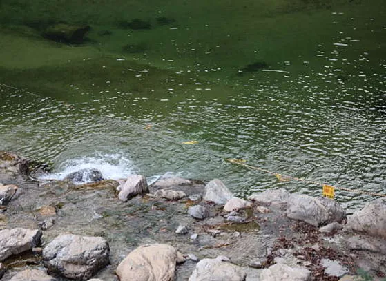 장령산자연휴양림