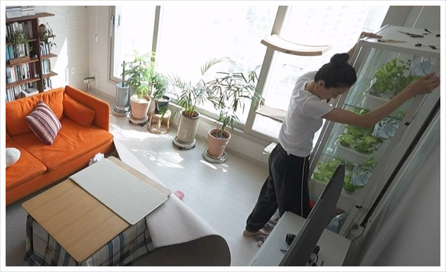 옥자연이 선택한 이케아 밀스보, 아파트에서 식물장 하나로 텃밭 자연주의 (+나혼산 리뷰)