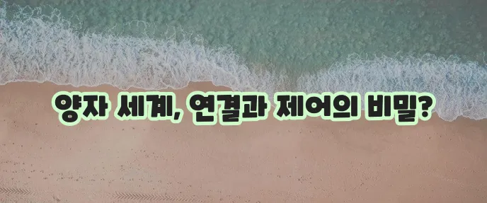 양자 집합체와 양자 피드백 설명 그리고 같은 점은 무엇일까요?