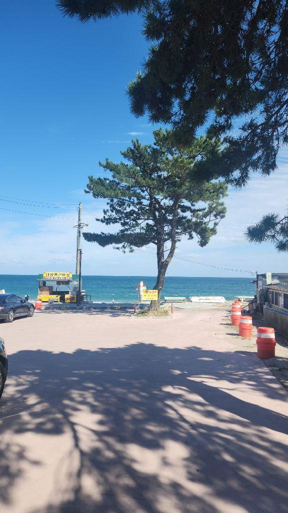 경주 가볼만한 곳 베스트 10 (2025 최신판)